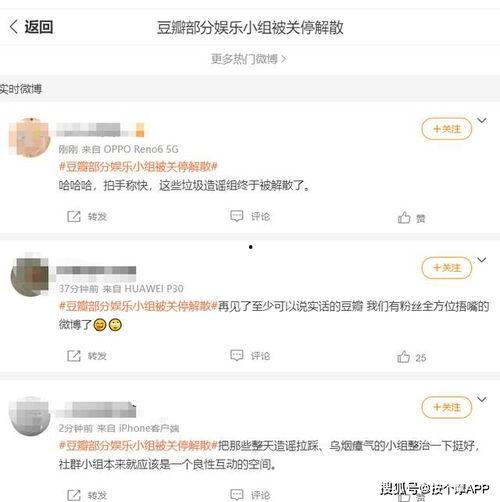 娱乐饭圈吃瓜直播视频,直播视频中的吃瓜瞬间
