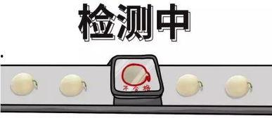 娱乐吃瓜酱几何问题,揭秘那些令人捧腹的几何趣事