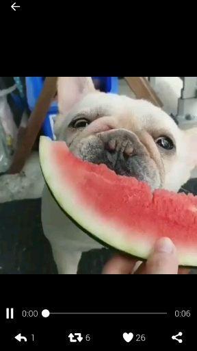 聊娱乐的吃瓜群众评价是真的吗,聊娱乐评价真实性揭秘