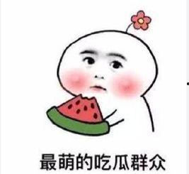 娱乐吃瓜酱男朋友敷衍,娱乐吃瓜酱男友敷衍背后的真相揭秘